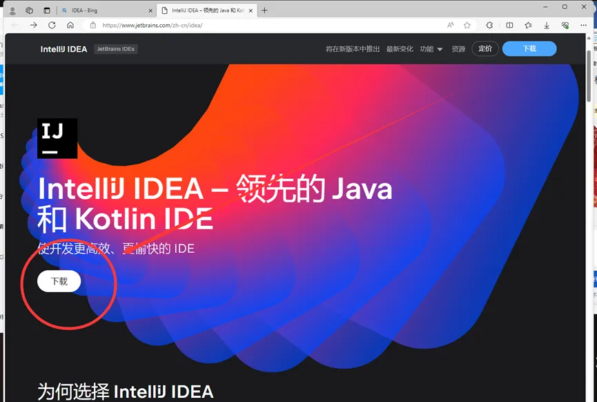 IDEA 主页与版本分栏